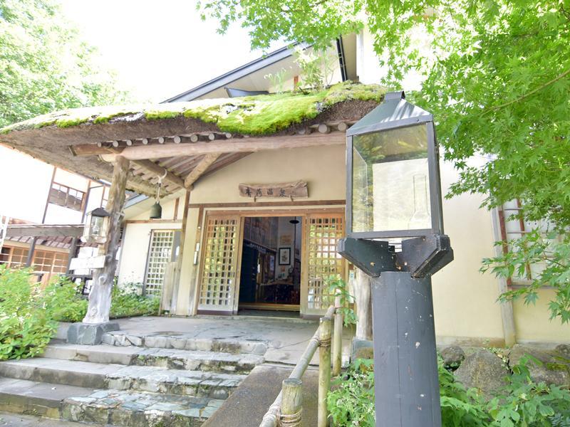 Lamp No Yado Aoni Onsen Hotel Hirakawa Екстериор снимка