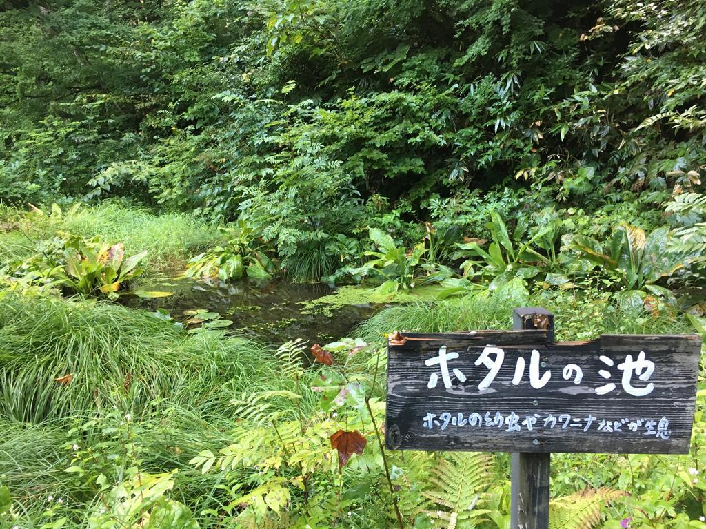 Lamp No Yado Aoni Onsen Hotel Hirakawa Екстериор снимка